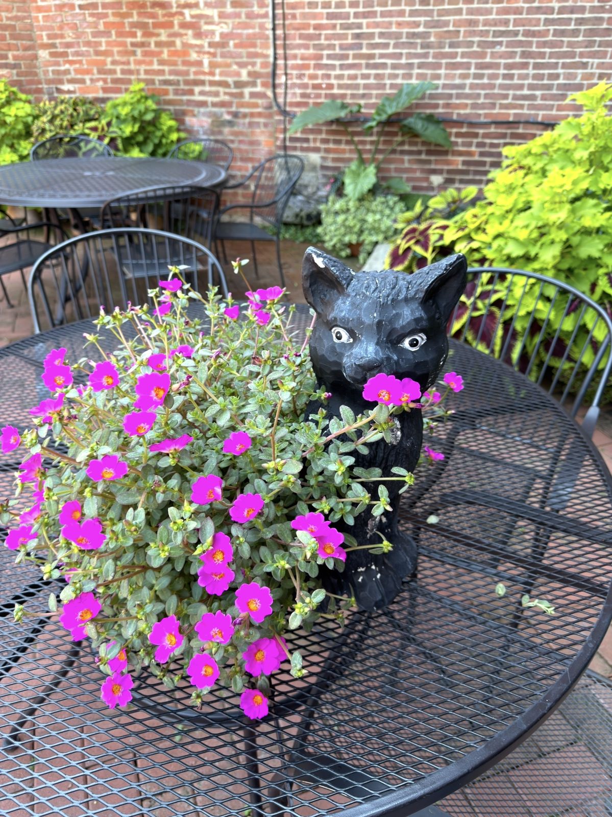 Black cat statue with bright pink portulaca flowers on a black iron patio table, red brick wall and greenery behind